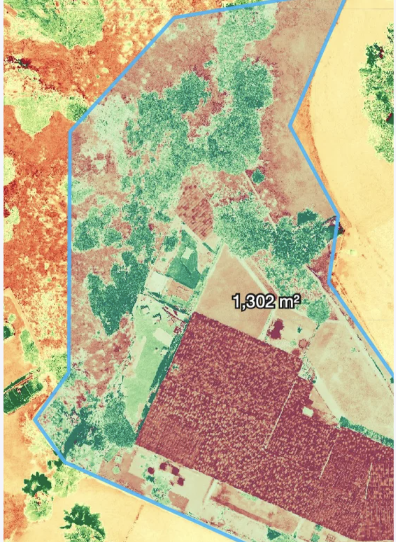 Orthophoto avec limites du terrain