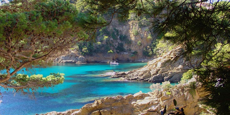 Vue aérienne immobilière à Cavalaire-sur-Mer